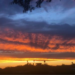 Meet your Posher, 雨薇